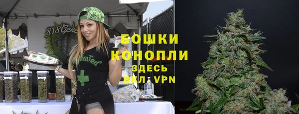 амф Балахна