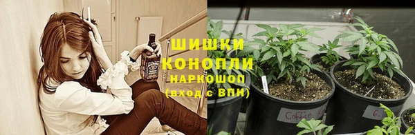 амф Балахна